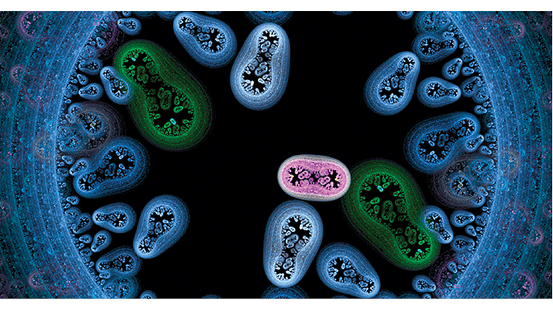 Microbial infections