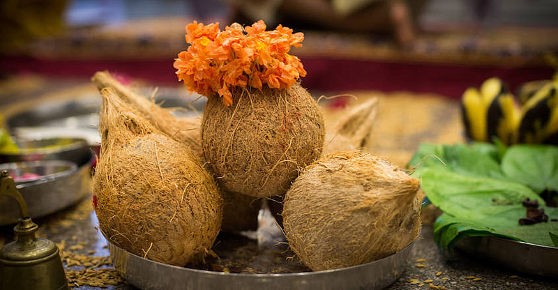 Coconuts