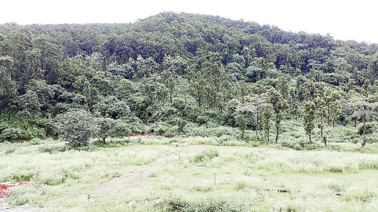 wildlife Conservation 18 new land reserves in the state