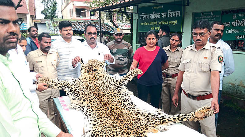 four smugglers of leopard skins were arrested along with the goods.