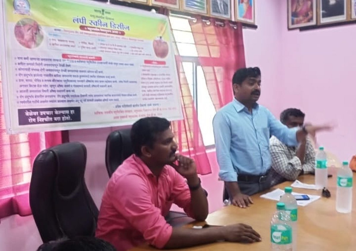 Solapur लंपीच्या साथीने जनावराची बाजार बंद करण्याचे आदेश जिल्हाधिकारी