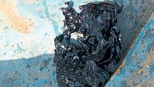 सिंधुदुर्गाच्या सागरी जैवसंपत्तीला धोका