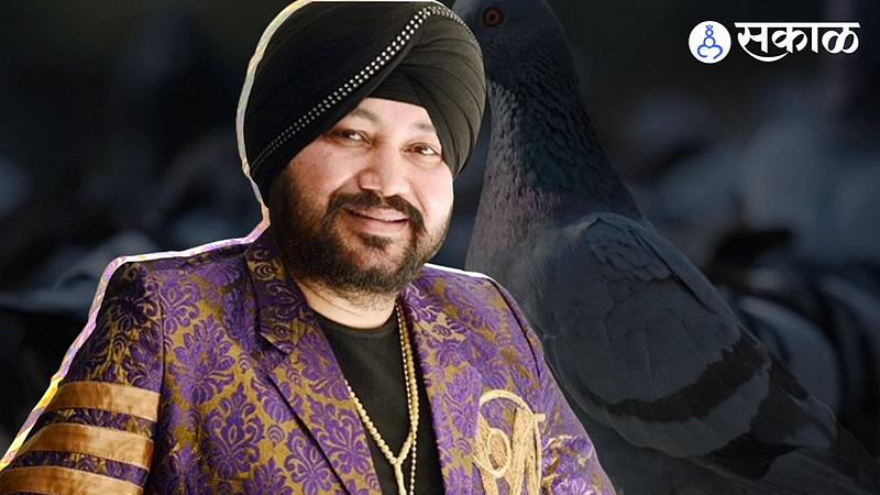 Daler Mehndi Bail News