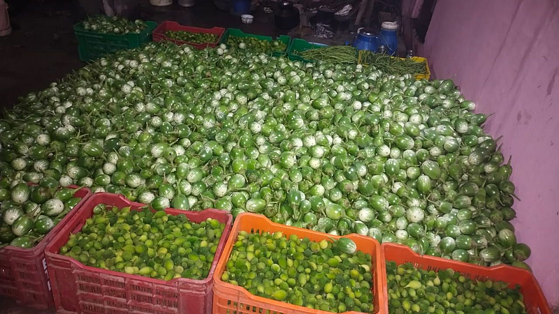Bhandara