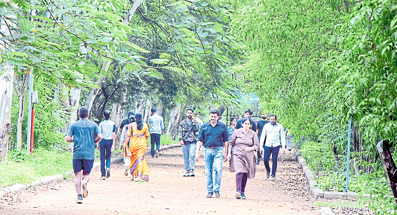 Walking Nashikkars