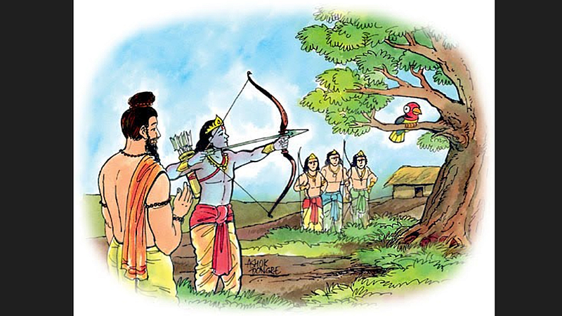 Arjuna Target Bird Eye