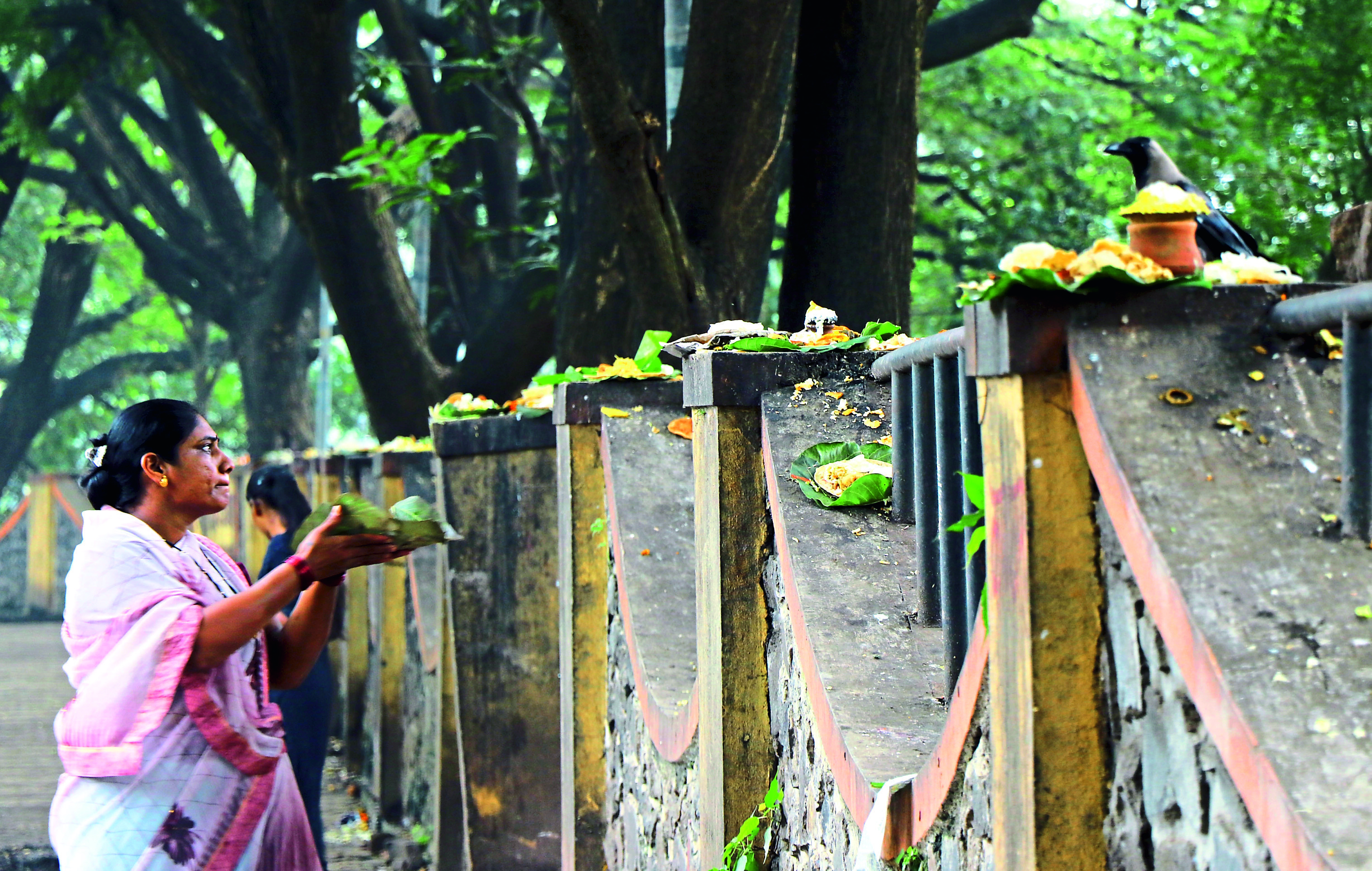 पितरांच्या नैवैद्यासाठी तासनतास प्रतीक्षा करावी लागते आहे.