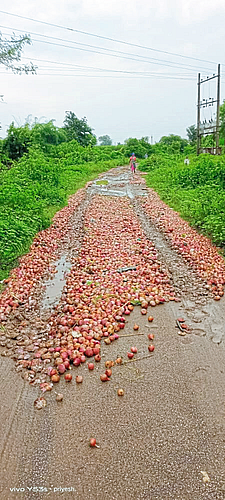 शेतकऱ्याच्या तोंडचा घास हिरावला