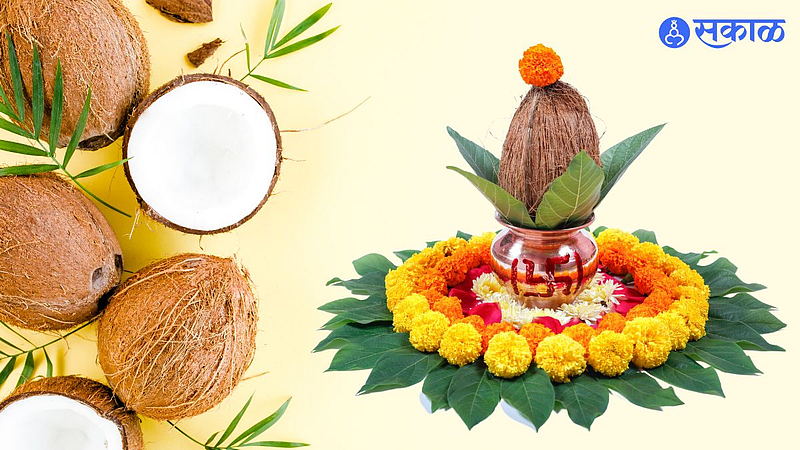 World Coconut Day 2022
