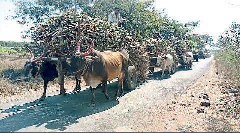 बैलगाडी