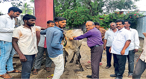Aurangabad : नऊ हजार जनावरांना लम्पीचे लसीकरण