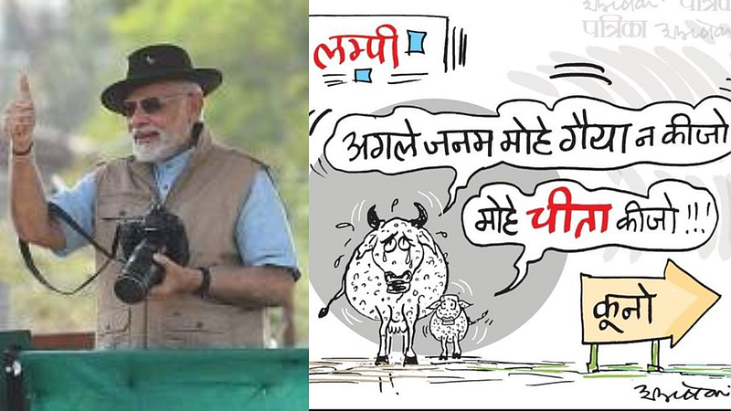 Narendra Modi