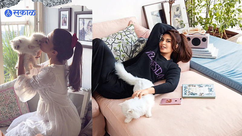 Jacqueline Fernandez news