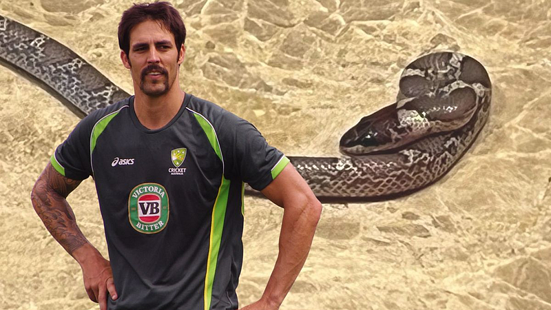 Snake In Mitchell Johnson Hotel Room