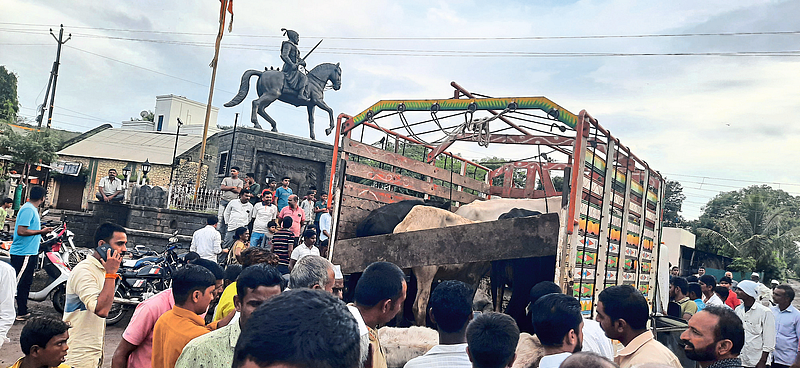 Illegal cattle transport vehicle caught by villagers