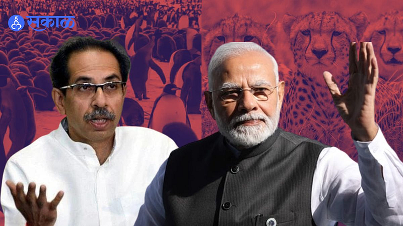 Uddhav Thackeray: आता भाजपला ‘चित्ता सरकार’ म्हणायचं का?’;उद्धव ठाकरेंचा खोचक टोला