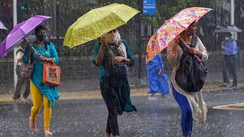 Mansoon Update: राज्यात पावसाचा जोर वाढला, चार जिल्ह्यात पावसाचा यलो अलर्ट
