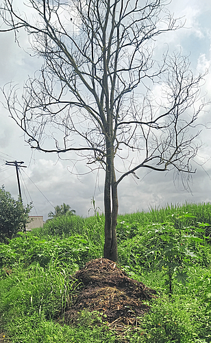 कागल ४ ॲंकर