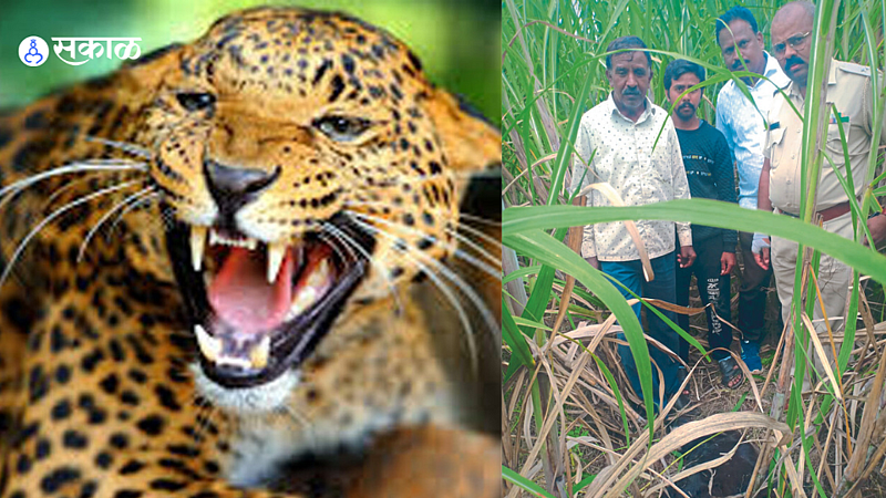 Rajendra Thackeray, Forest Guard, went to the Garuda Vasti and conducted Panchnama.