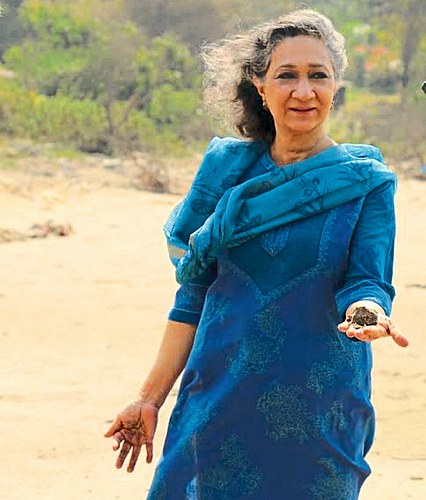 ग्रीन क्रॅकरचे अंमलवजावणीत अपयश