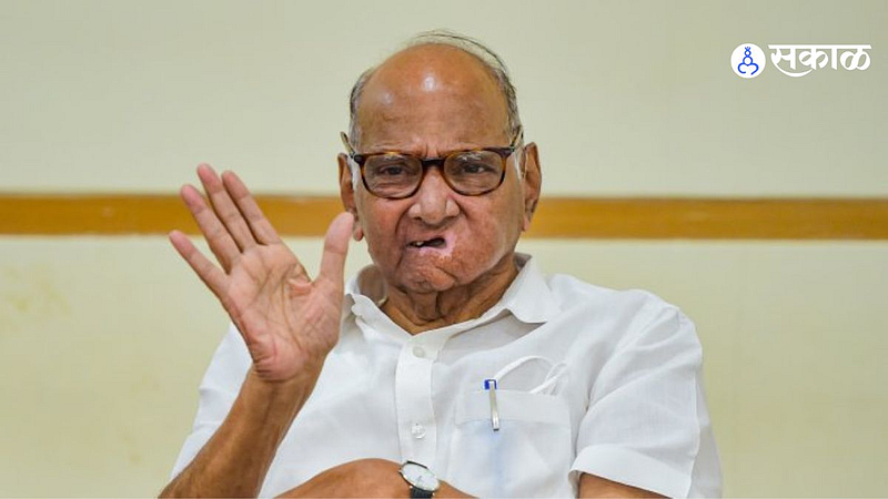 Sharad Pawar: ...म्हणून आशिष शेलारांना दिला पाठिंबा; शरद पवारांनी केला खुलासा