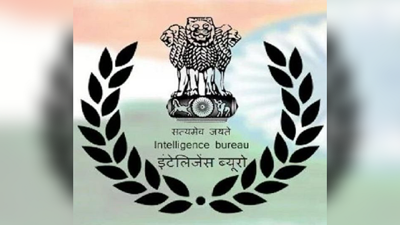 Government Job