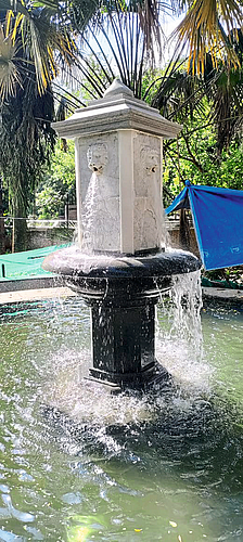 राणी बागेत कोई फिश पॉड
