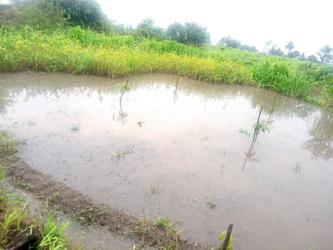 वळती परिसरात पावसाने नुकसान
रस्ते, पिके गेली वाहून; पंचनामे करून भरपाई देण्याची मागणी