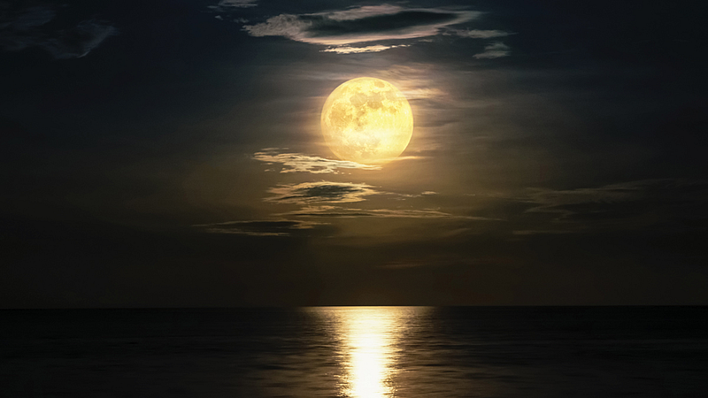 Moon Rays
