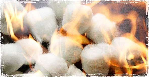 Cotton Crop Fire reference image