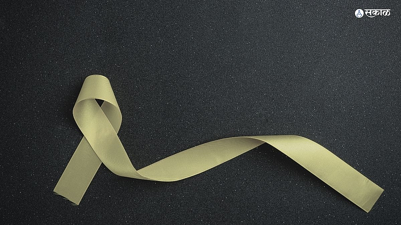 Nagpur news mother Suicide due to daughter behavior
