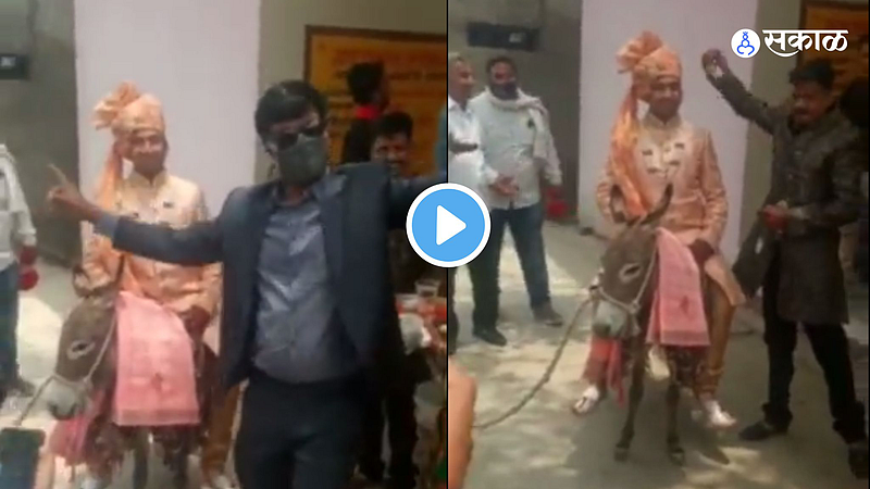 Viral Video: नवरदेवाची गाढवावरून काढली मिरवणूक; वऱ्हाडींचा फुल्ल राडा