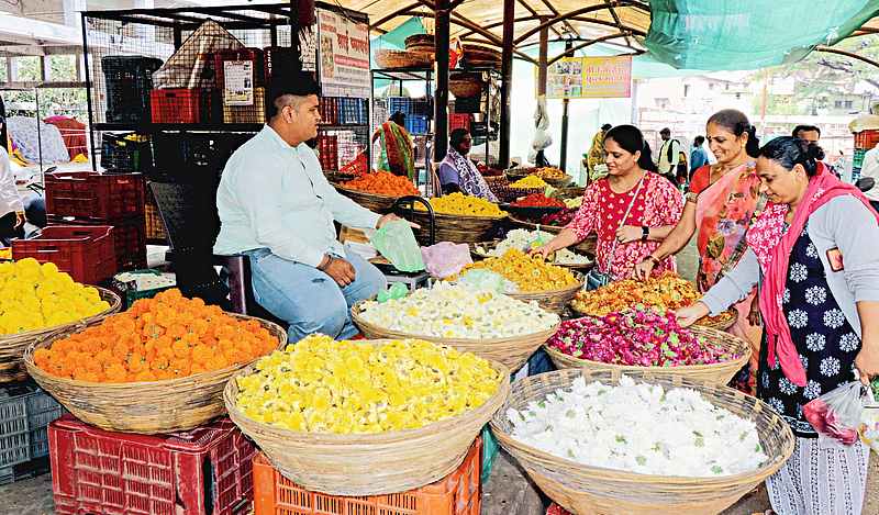 Diwali Festival News