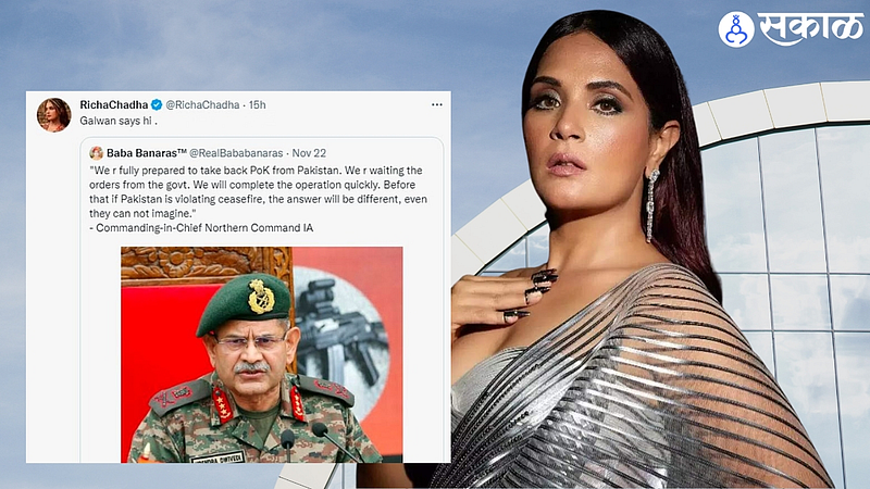 Richa Chaddha Apology