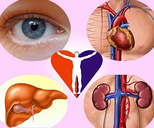 Organ Donation