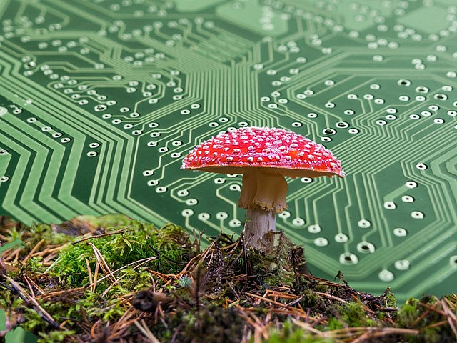 Mobile Mushroom Chip