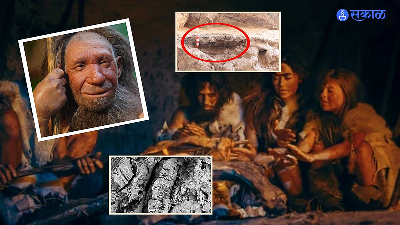 Neanderthal human