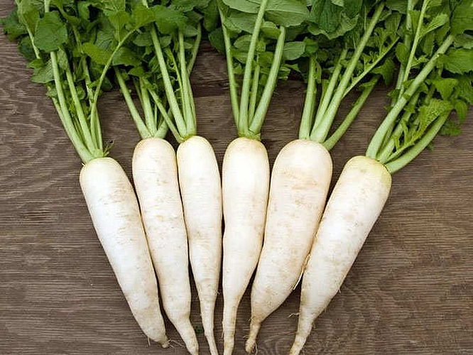 Radish Health Tips