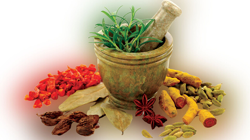 Ayurveda