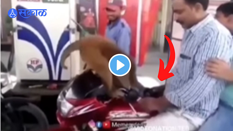 Viral Video