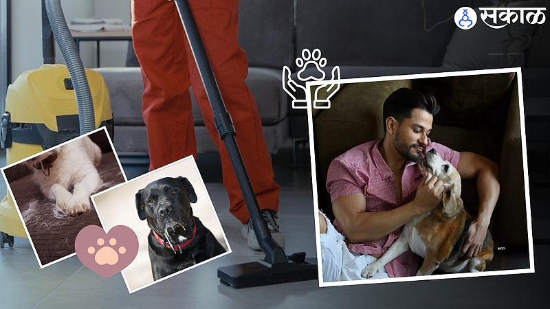 Pet Care Tips