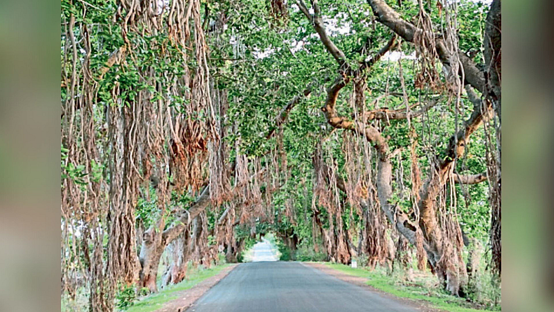satara