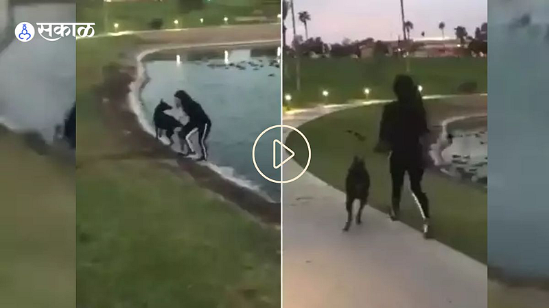 Dog Funny Viral Video