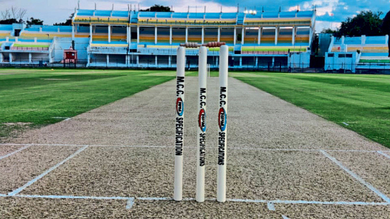 Cricket