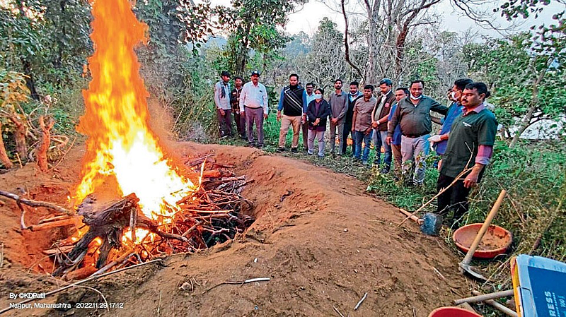 Pench Tiger Reserve