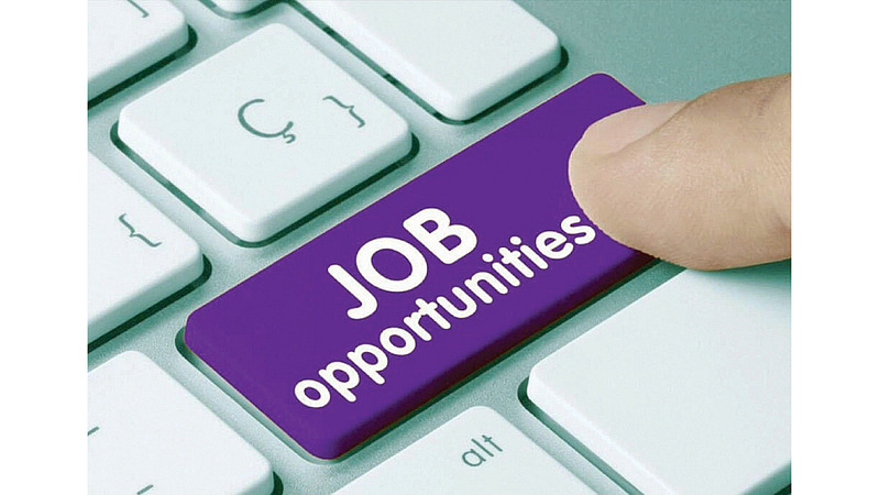 Job Opportunity