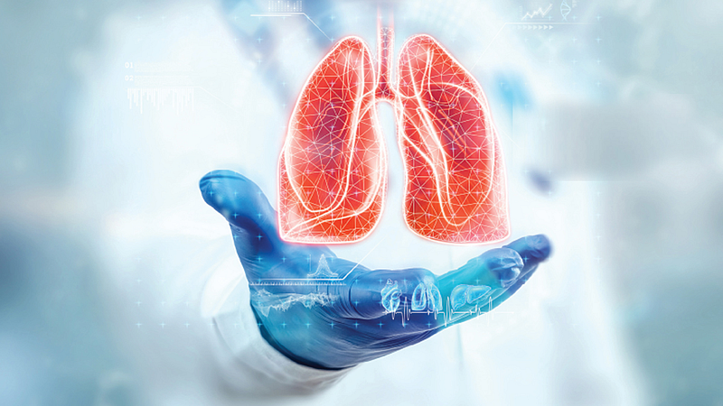 Lungs