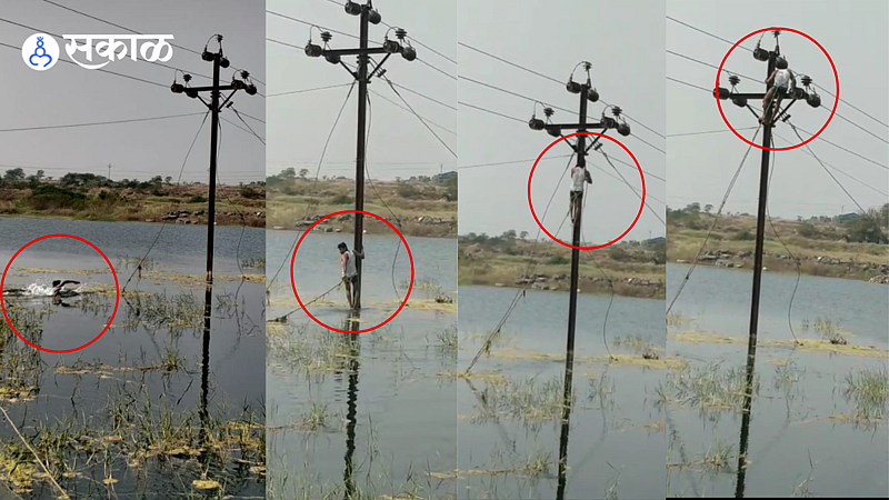 electricity poll repaired by msedcl employee