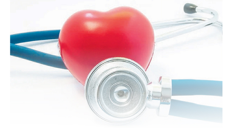Heart