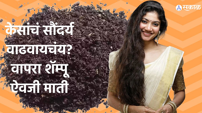 World Soil Day